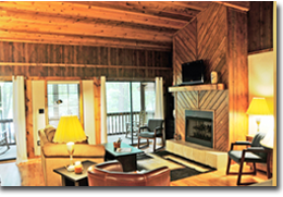 View of the living area in A Cabin on Paradise in Murphy NC