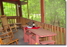 Screened Porch in A Cabin on Paradise Murphy NC