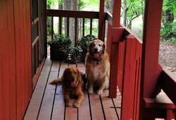 View of "the Golden Girls" on the deck at A Cabin on Paradise Murphy NC