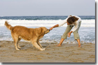 Girl and dog at play on the dog friendly beach of St George Island